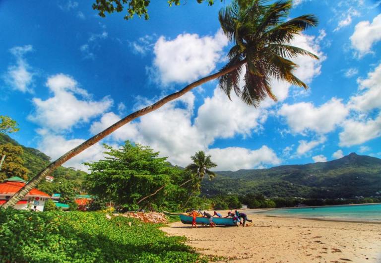 12166167_10153820795105757_1280882867_n