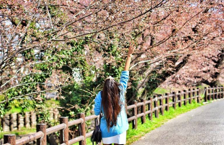 12575925_10154014194230757_711776455_n