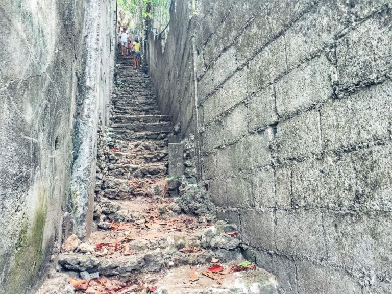 12713910_10154089344620757_186806838_n