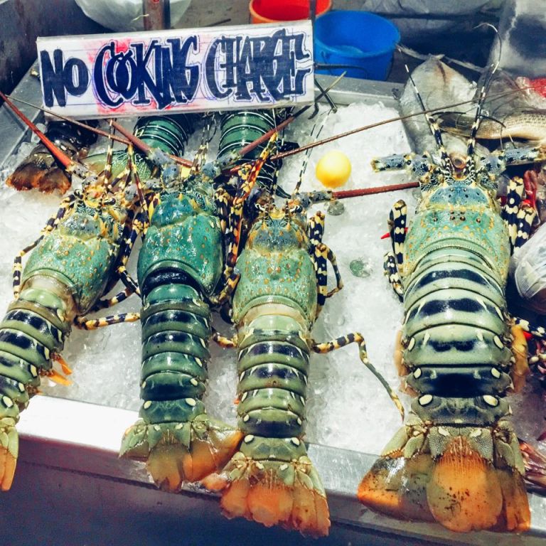 12714314_10154086921775757_1491469516_n