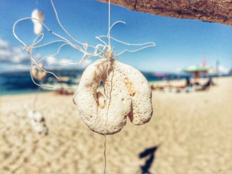 12714399_10154086921445757_82325095_n