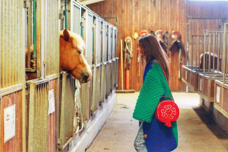Fakasel Icelandic Horses