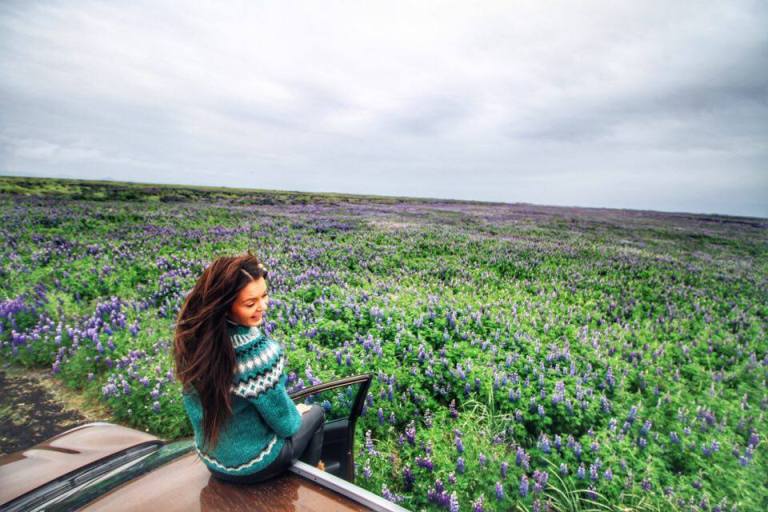 Iceland Alafoss Icelandic Sweater_8