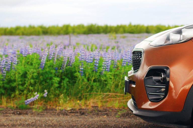 Blue Car Rental Iceland