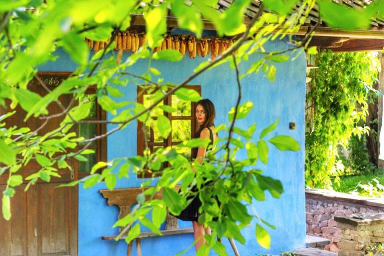 Count Kalnoky Guesthouse Miclosoara Romania 17