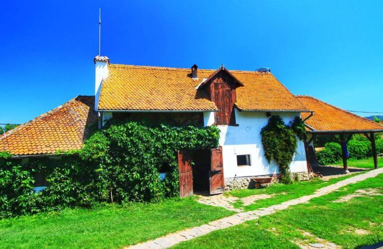 Count Kalnoky Guesthouse Miclosoara Romania 23