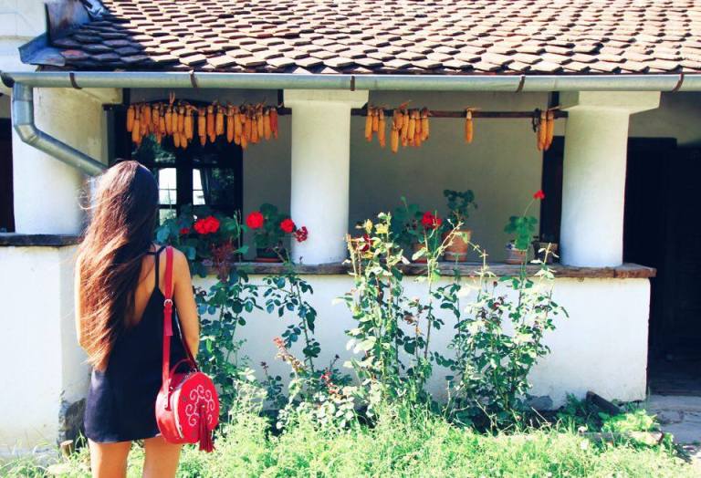 Count Kalnoky Guesthouse Miclosoara Romania 9