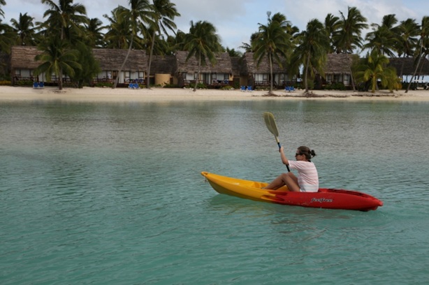 Activitati domestice