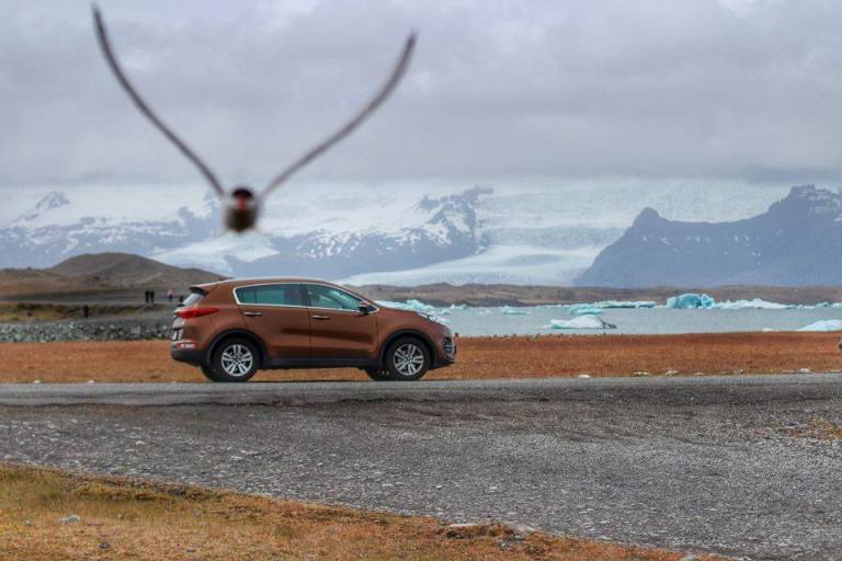 Blue Car Rental prinlume 5