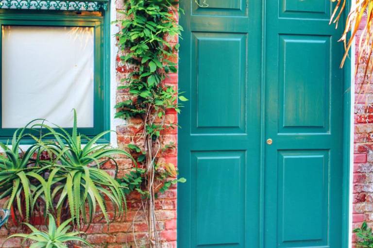 Pineapple Plantation Ponta Delgada Sao Miguel Azores 2