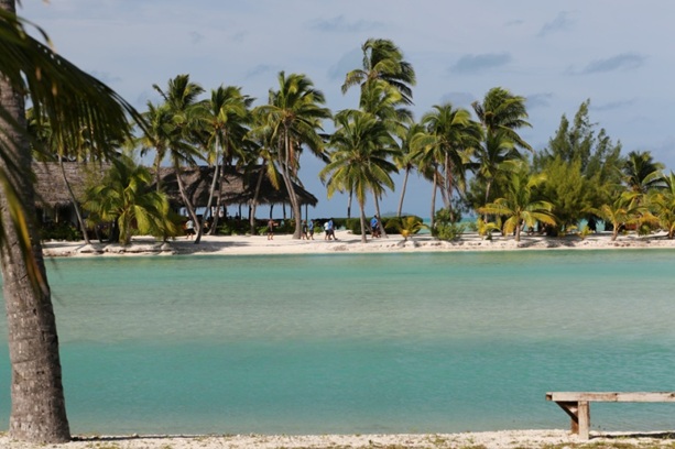 Privelistea de la Ranginui Retreat 3