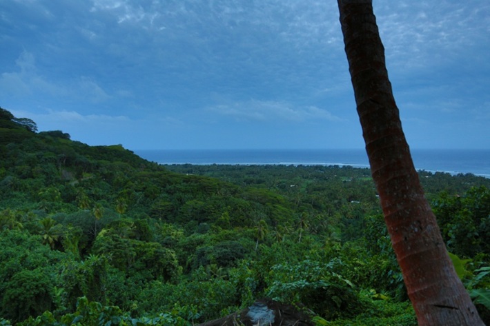 Rarotonga Interioara