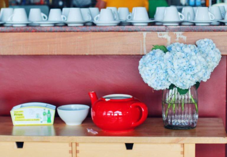 cha-gorreana-tea-plantation-azores-sao-miguel-1