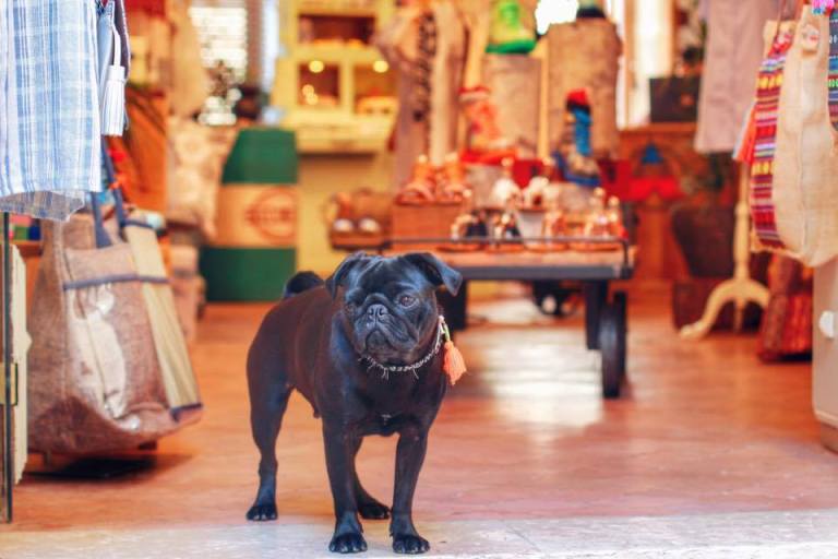 st-paul-de-vence-france-provence-cote-dazur-17