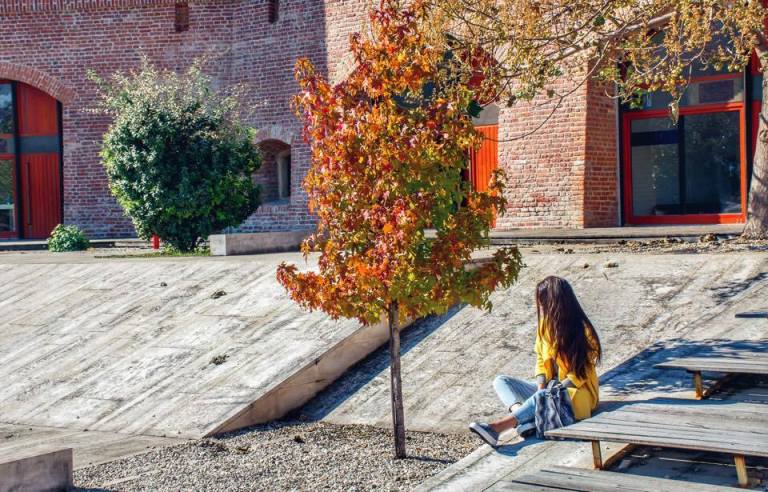 1timisoara-romania-1