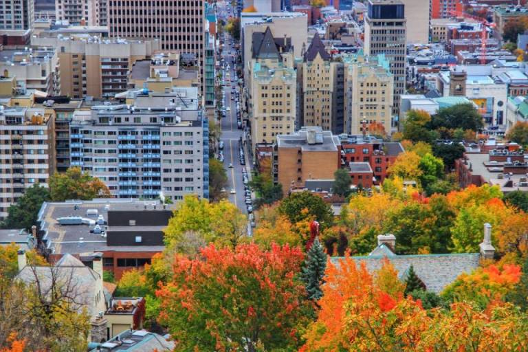 montreal_leaf-peeping_3