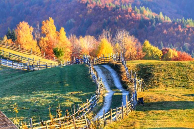 romania_inn-on-balaban_3