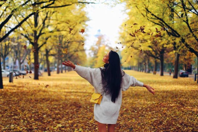 rotterdam-park-autumn-leaves-1