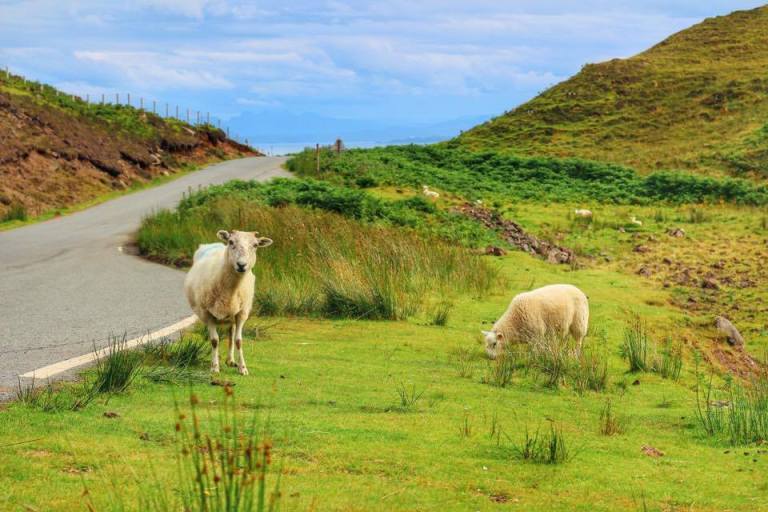 scotland-road-trip-13