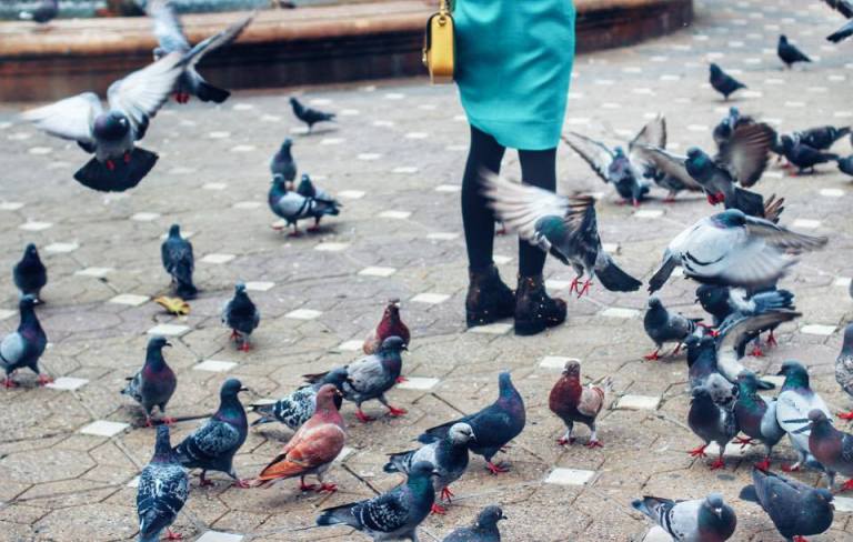 timisoara-romania-57