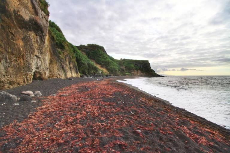 viola-beach-sao-miguel-azores-6