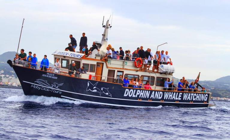 whale-watching-azores-sao-miguel-1