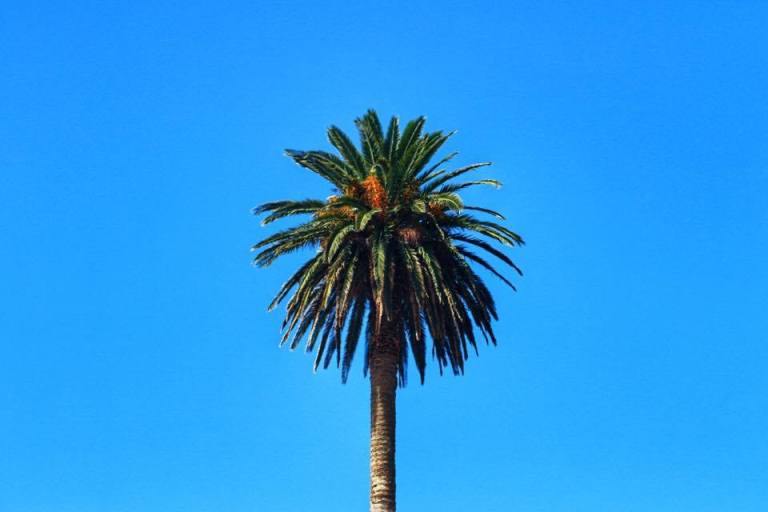 nordeste-sao-miguel-azores-1