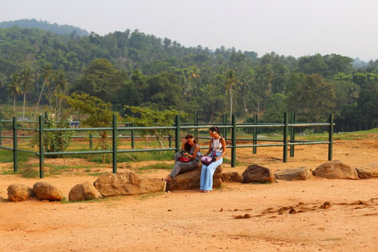 pinawalla-orphenage_sri-lanka_13