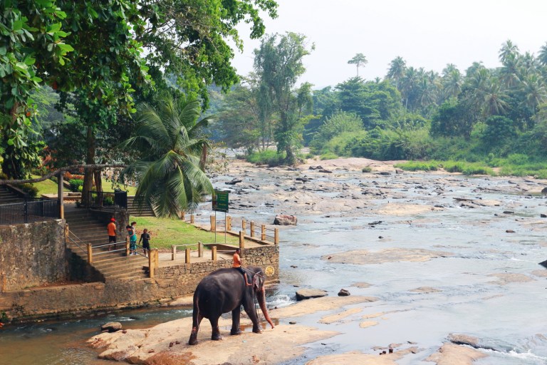pinawalla-orphenage_sri-lanka_18