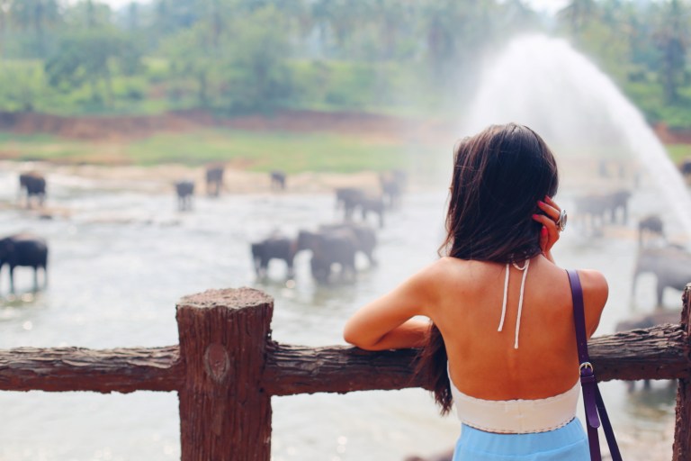 pinawalla-orphenage_sri-lanka_4