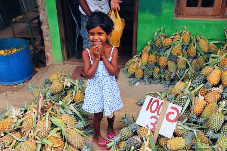 pineapple-plantation-sri-lanka_1