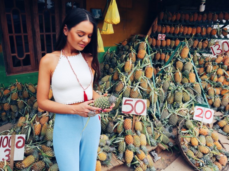 pineapple-plantation-sri-lanka_2