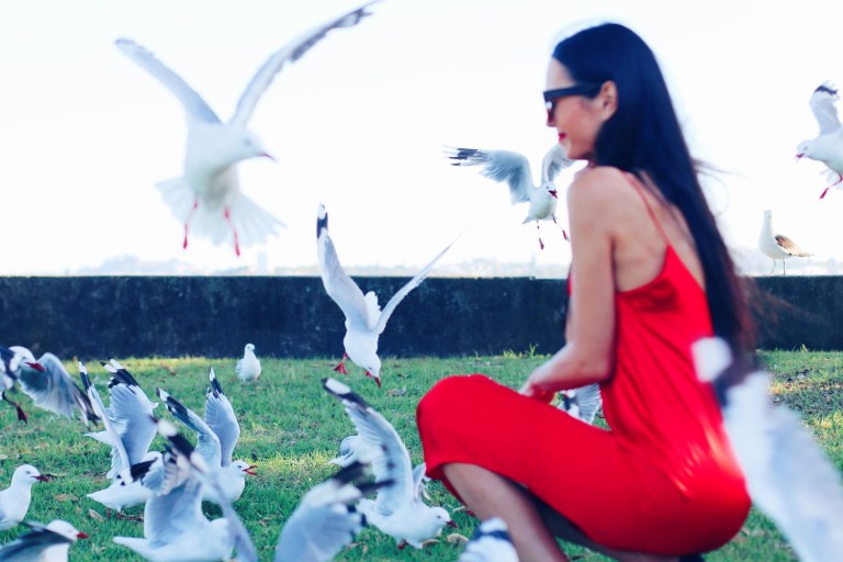 Auckland New Zealand6