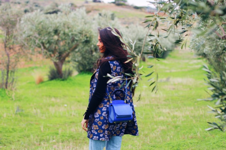 olive-trees-greece_1