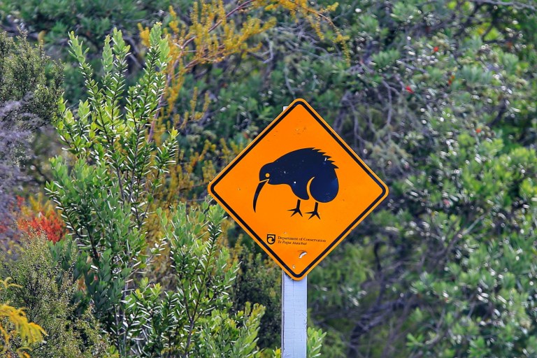 Roadtrip Turangi-Tongariro-Ruapehu_6