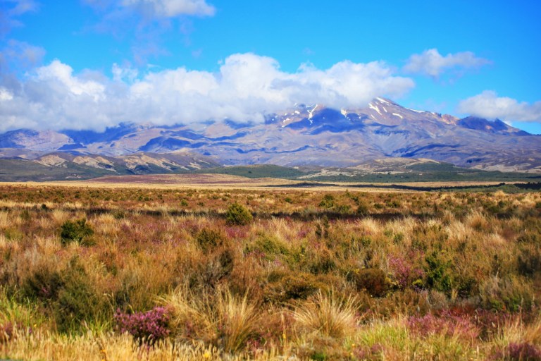 Roadtrip Turangi-Tongariro-Ruapehu_8