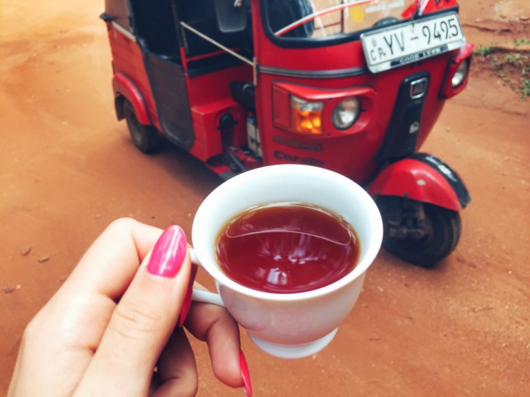 Spice Garden Sri Lanka_2