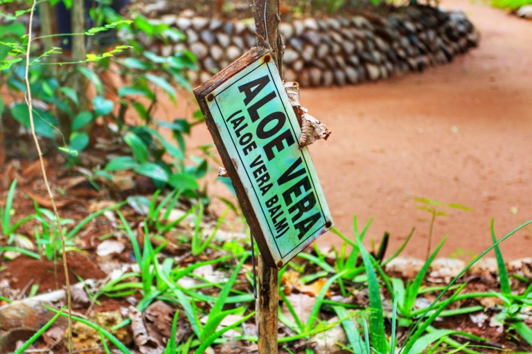 Spice Garden Sri Lanka_3