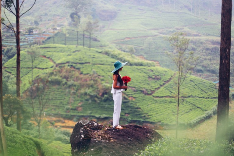 Tea Plantation_Nuwara Elya_Sri Lanka_2