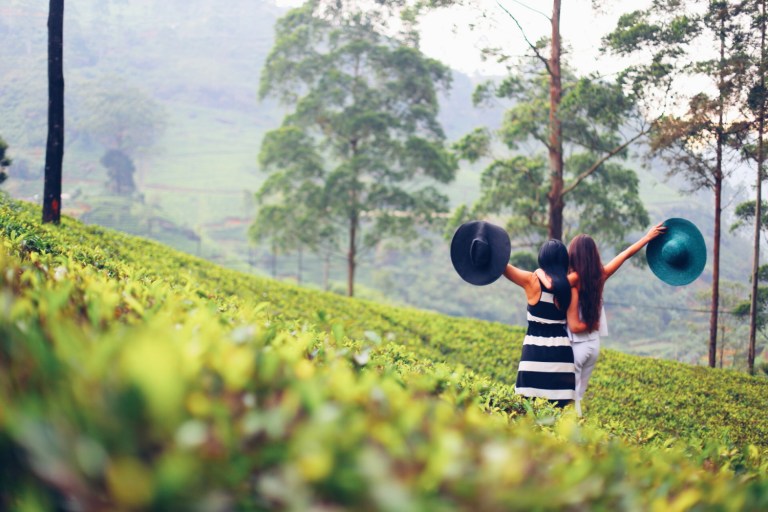 Tea Plantation_Nuwara Elya_Sri Lanka_3