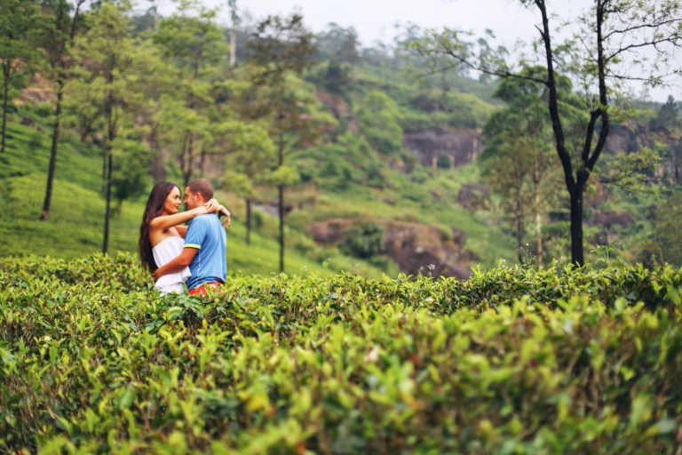 Tea Plantation_Nuwara Elya_Sri Lanka_4