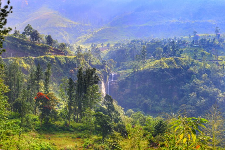 Tea Plantations_Sri Lanka_1