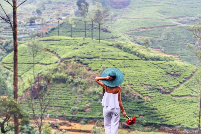 Tea Plantations_Sri Lanka_5