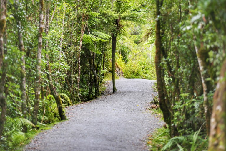 Franz Joseph Glacier_New Zealand_5