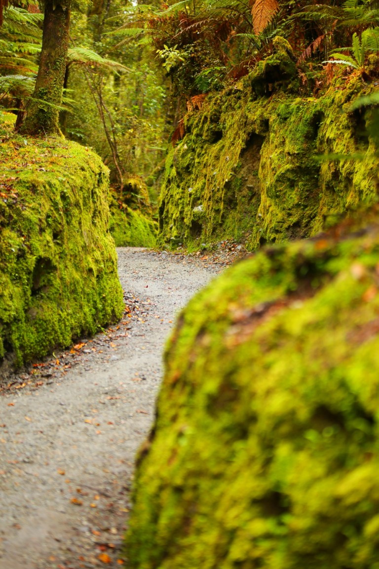 Jetty Lookout_New Zealand_1