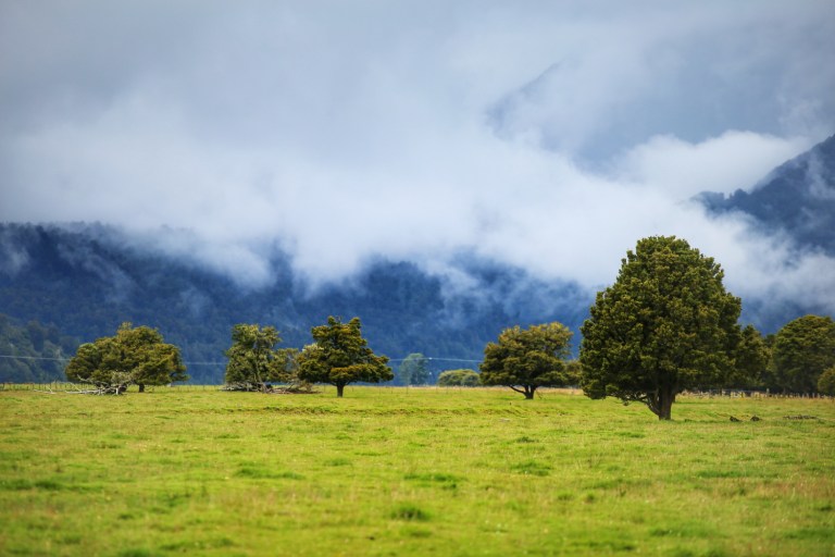 Jetty Lookout_New Zealand_4