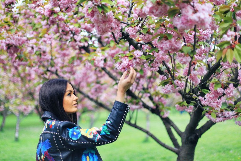 Sakura in Bucuresti_6