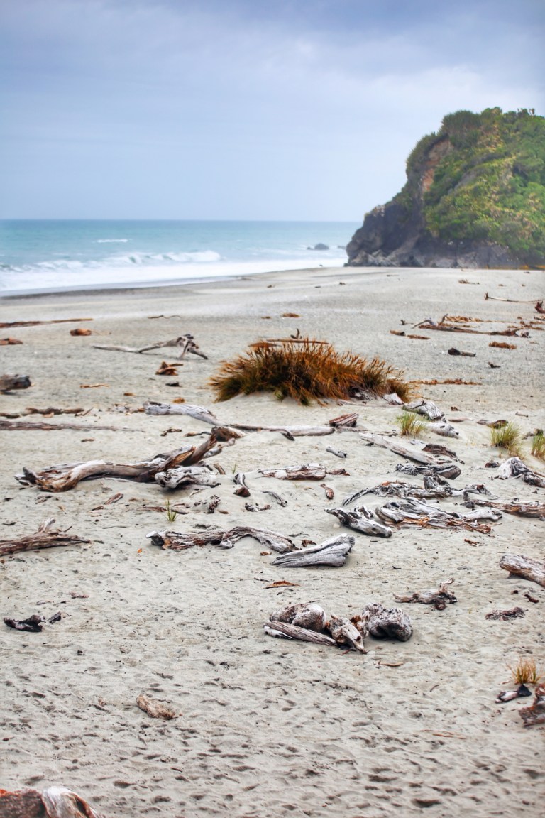 Ship Creek_New Zealand_5