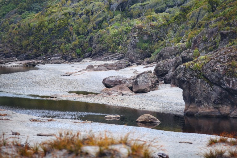 Ship Creek_New Zealand_7 (2)