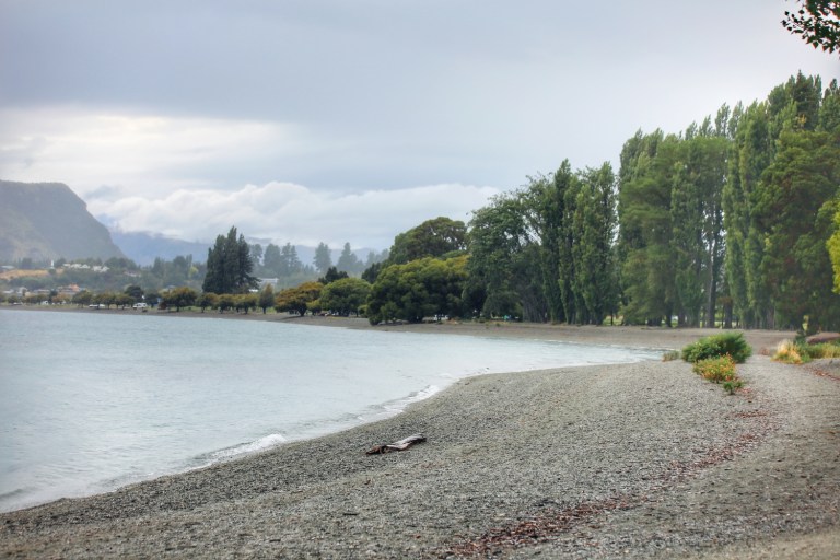 That Wanaka Tree_Wanaka Lake_New Zealand_4
